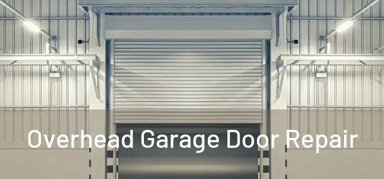  Overhead Garage Door Repair 